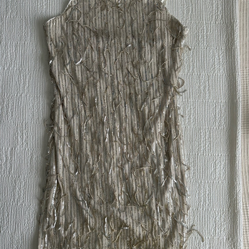 Trixxi Silver Fringe Dress